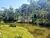 Terreno, 2 hectares - Foto 1
