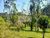 Terreno, 2 hectares - Foto 4