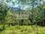 Terreno, 2 hectares - Foto 2
