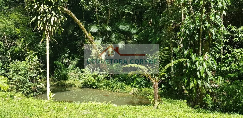Chácara, 10000 m² - Foto 11