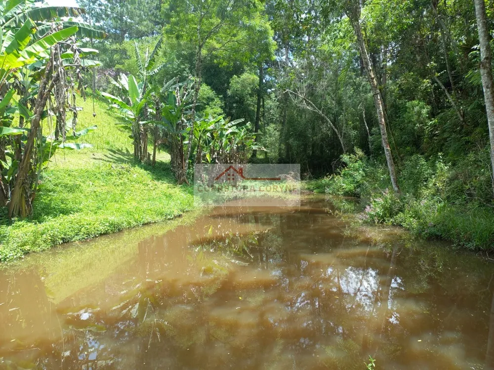 Chácara, 3 quartos, 4700 m² - Foto 2