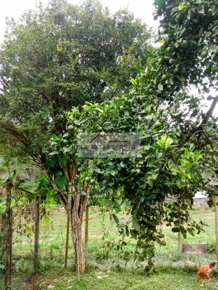 Chácara à venda com 3 quartos, 4700m² - Foto 4
