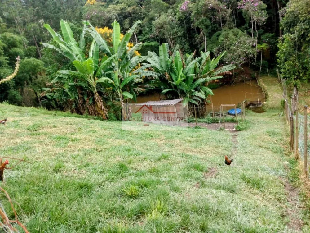 Chácara, 3 quartos, 4700 m² - Foto 14