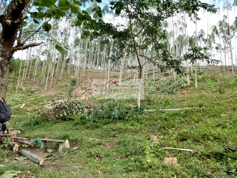 Sítio, 3 hectares - Foto 16