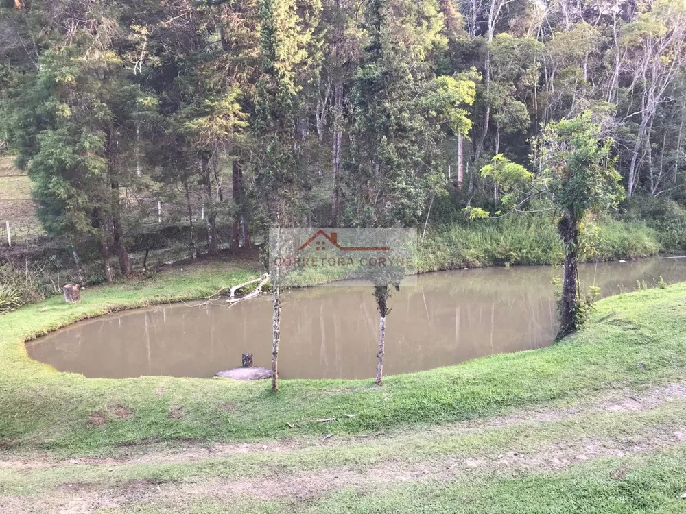 Chácara, 4 quartos, 5 hectares - Foto 11