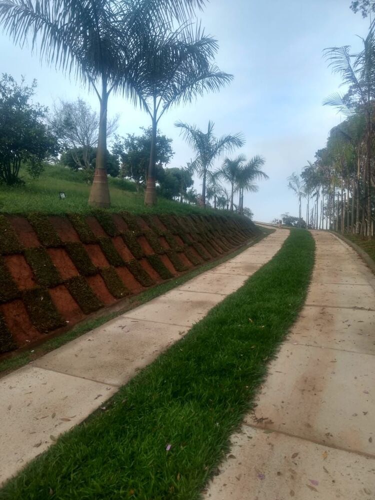 Sítio à venda com 3 quartos, 72600m² - Foto 10