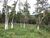 Sítio, 3 quartos, 7 hectares - Foto 15