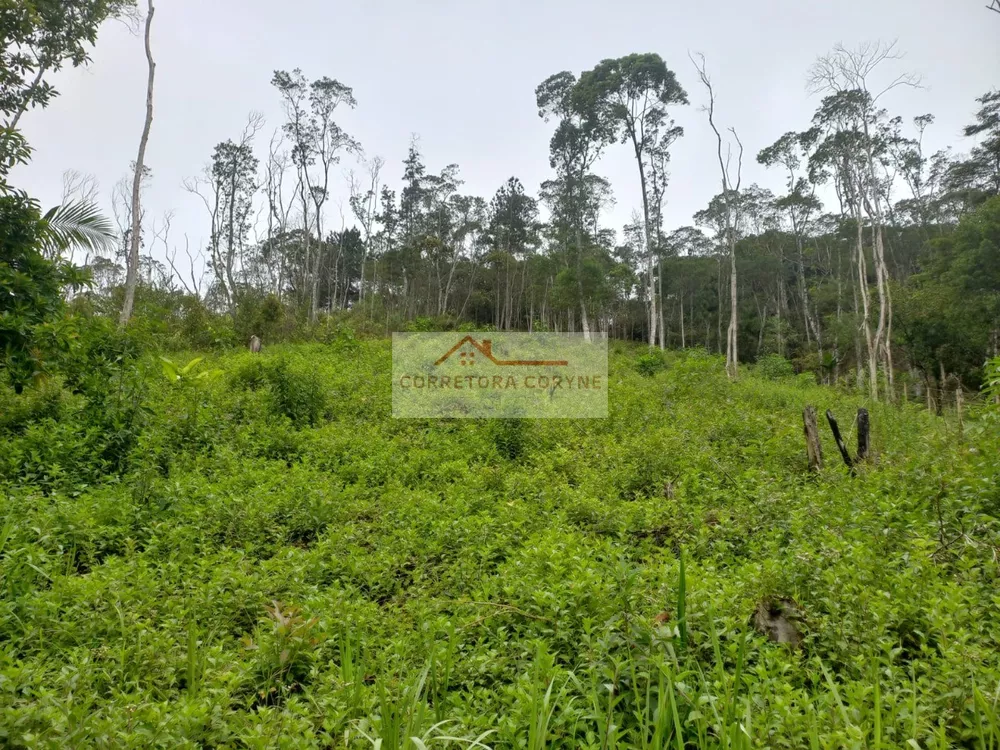 Terreno, 1200 m² - Foto 3