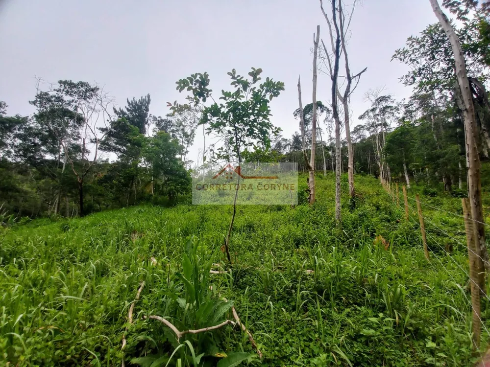 Terreno, 1200 m² - Foto 5