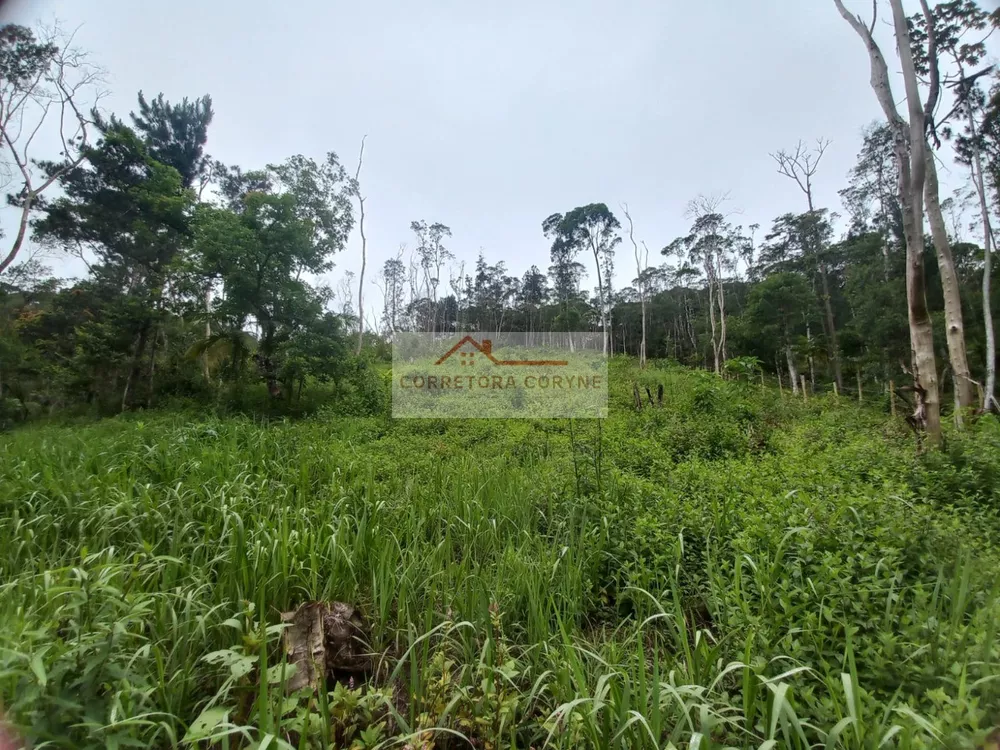 Terreno, 1200 m² - Foto 2