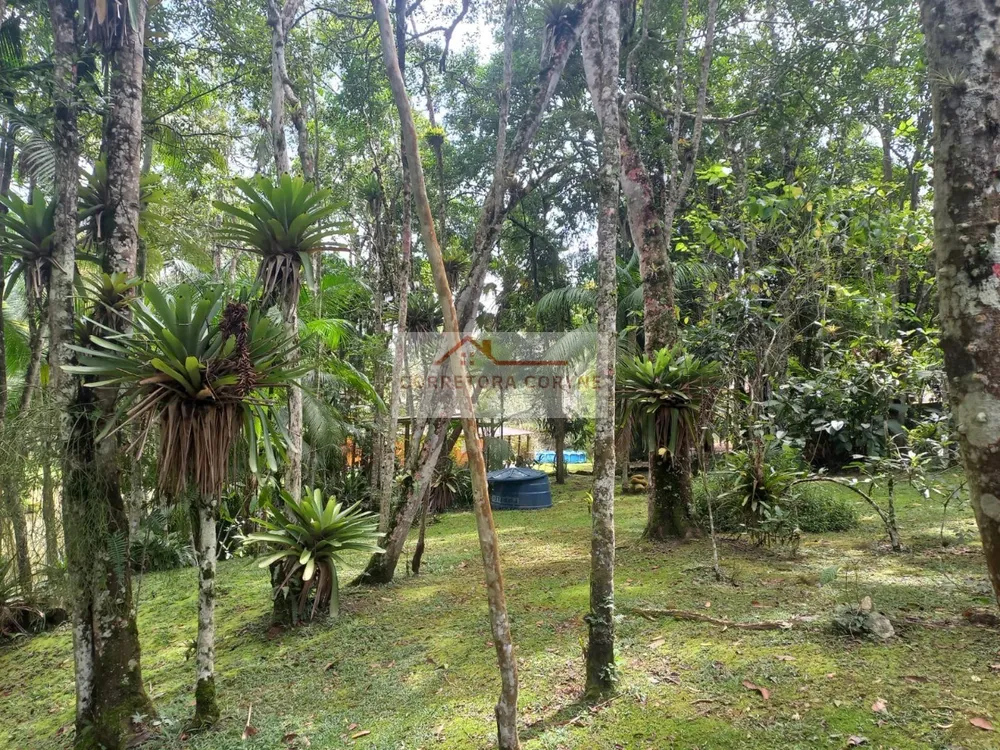 Chácara, 2 quartos, 2900 m² - Foto 2