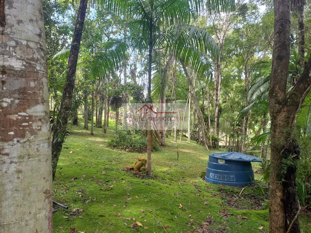 Chácara, 2 quartos, 2900 m² - Foto 4