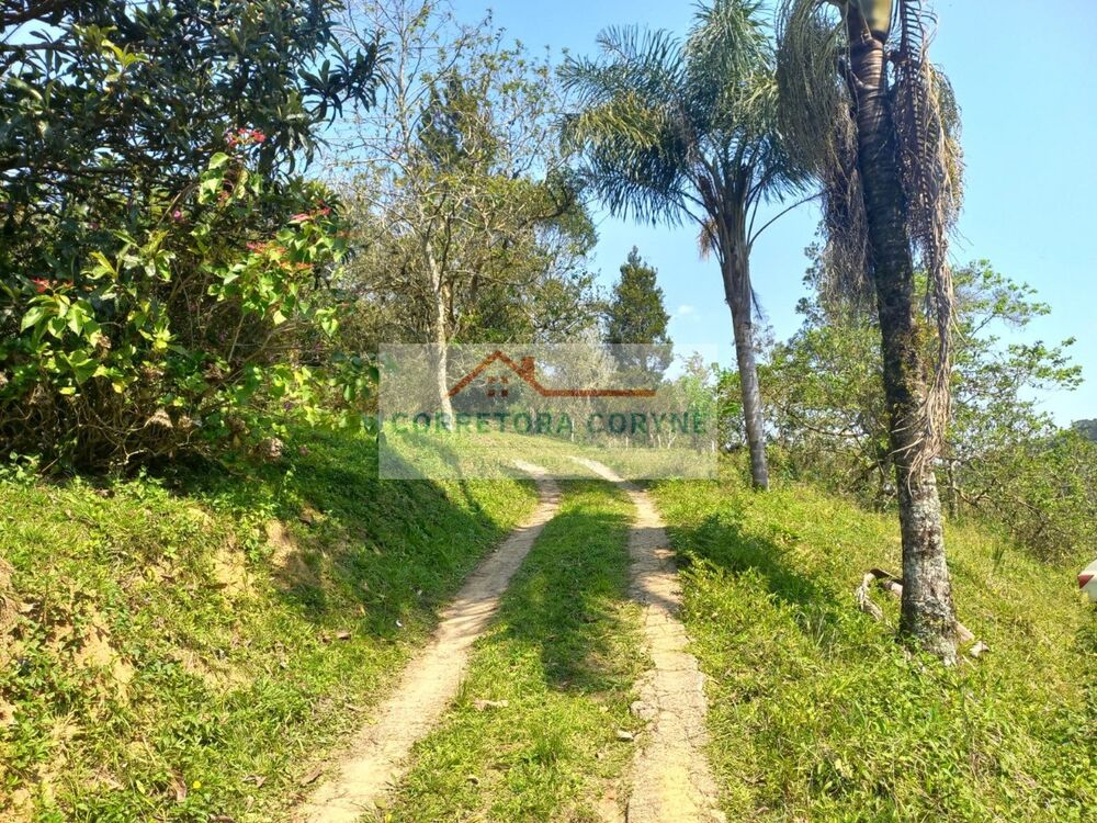 Chácara à venda com 2 quartos, 24200m² - Foto 10