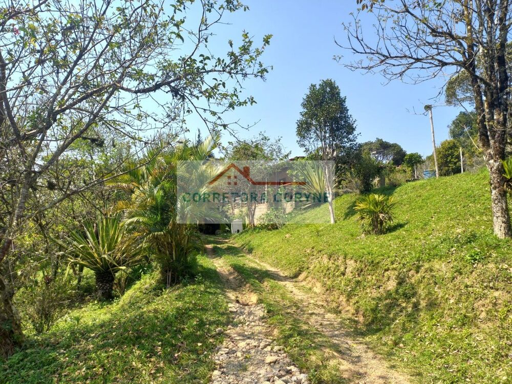 Chácara à venda com 2 quartos, 24200m² - Foto 5