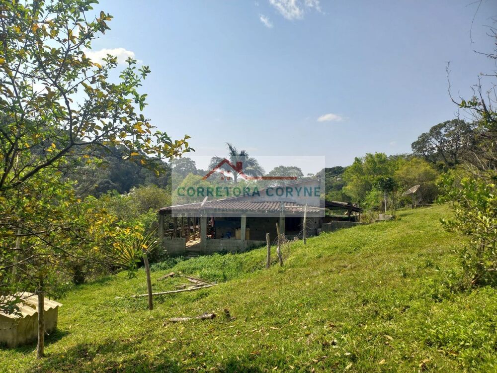 Chácara à venda com 2 quartos, 24200m² - Foto 4