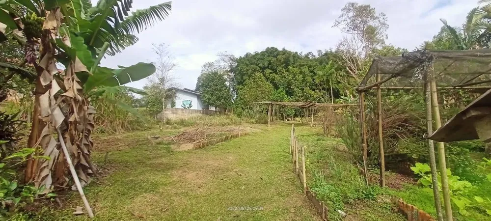Terreno, 2500 m² - Foto 5