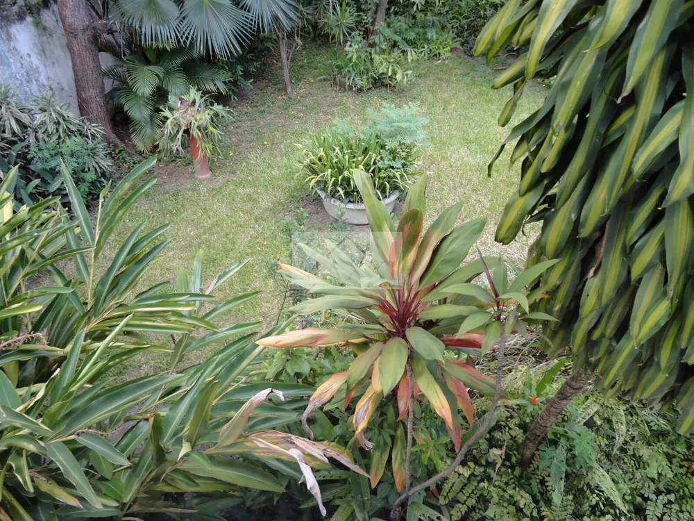 Casa, 6 quartos, 450 m² - Foto 15