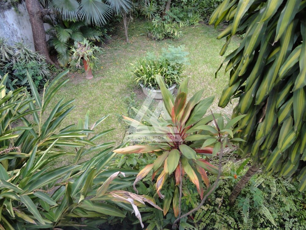 Casa, 6 quartos, 450 m² - Foto 1