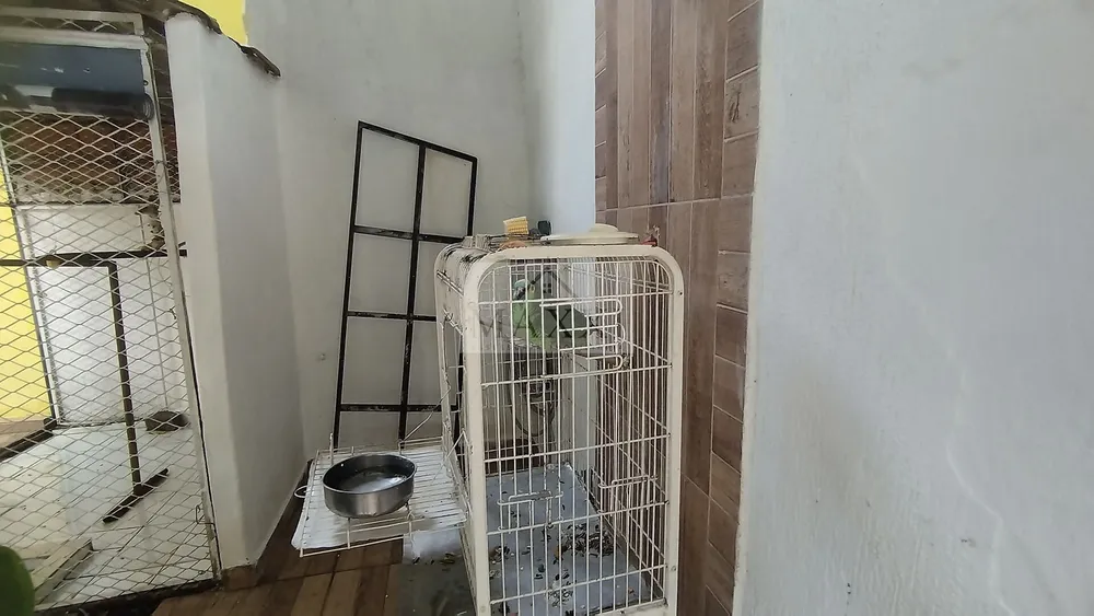 Casa, 4 quartos, 715 m² - Foto 20