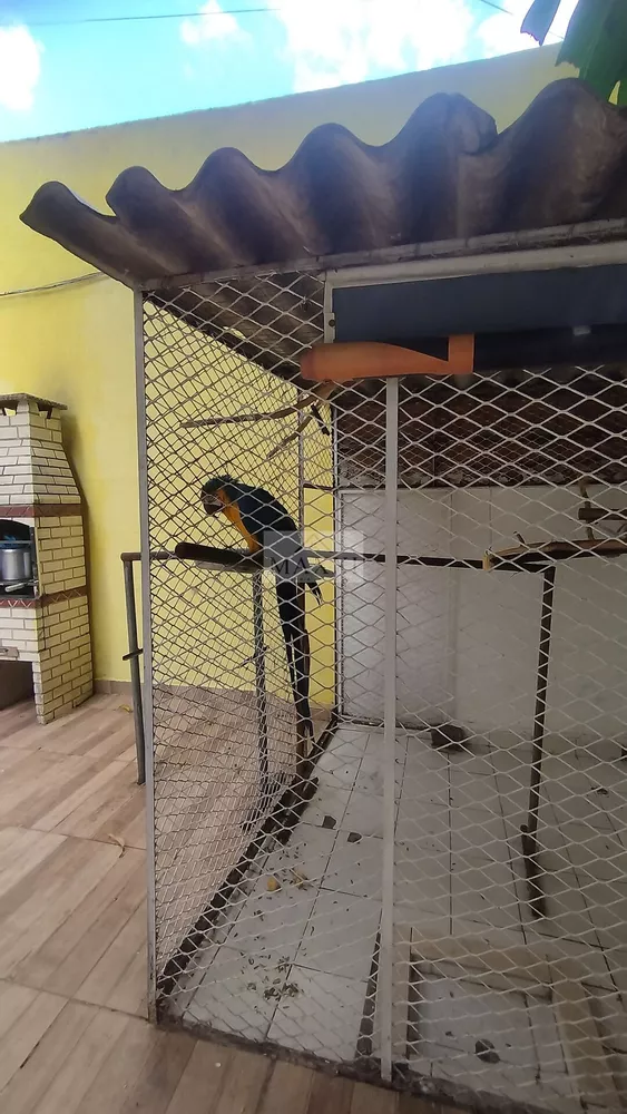 Casa, 4 quartos, 715 m² - Foto 22