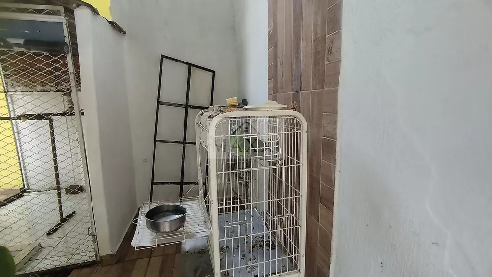 Casa, 4 quartos, 715 m² - Foto 5