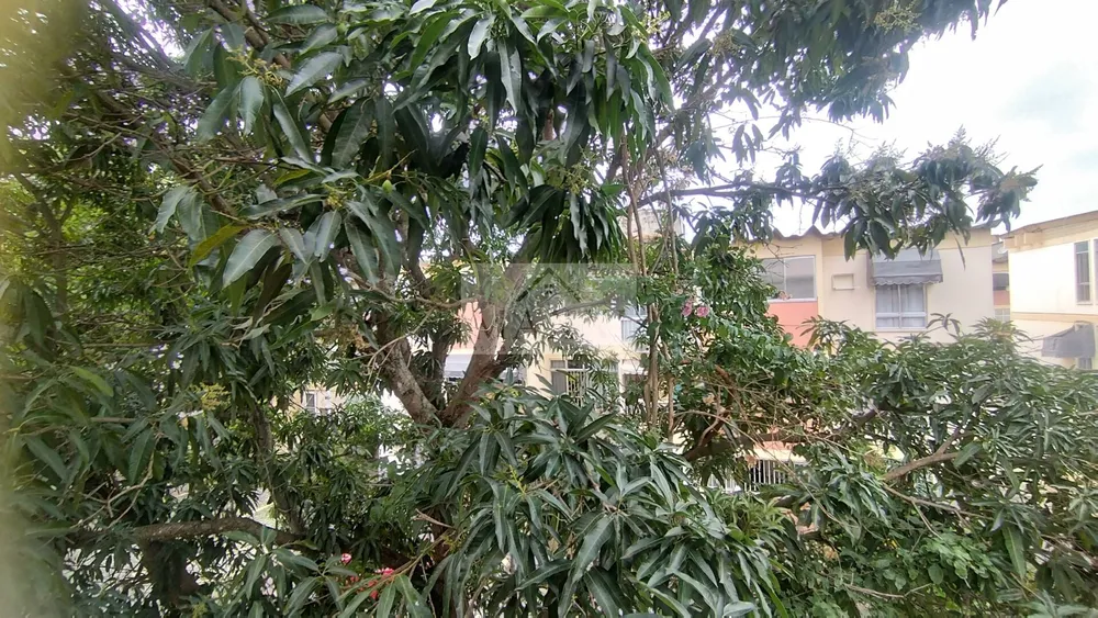 Apartamento, 2 quartos, 50 m² - Foto 7