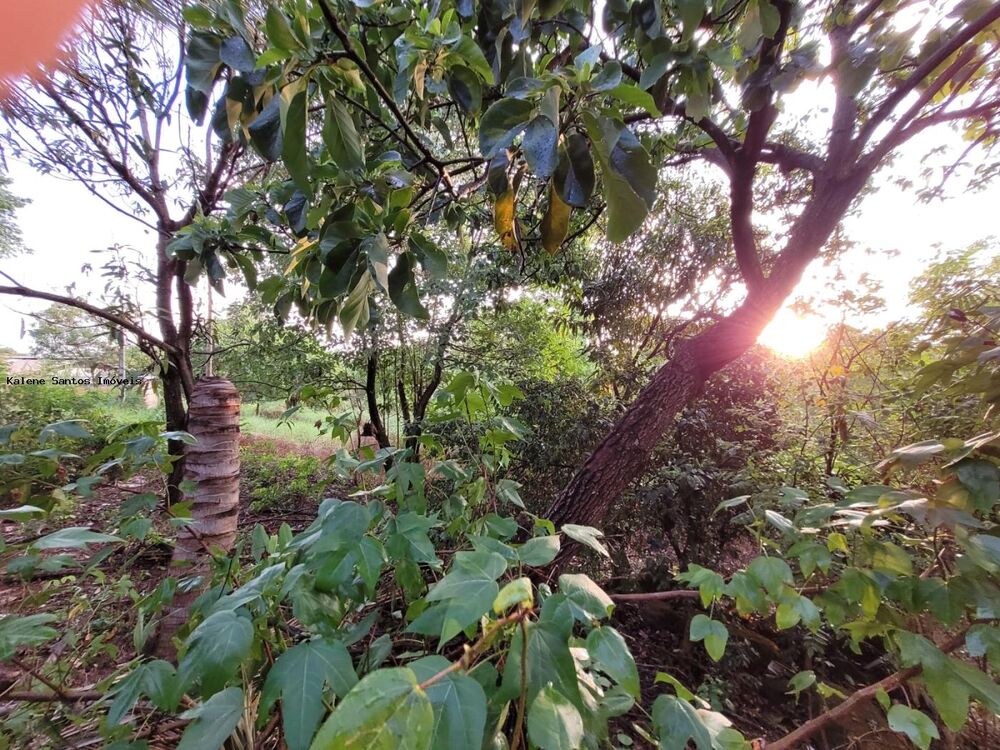 Chácara à venda, 2000m² - Foto 2