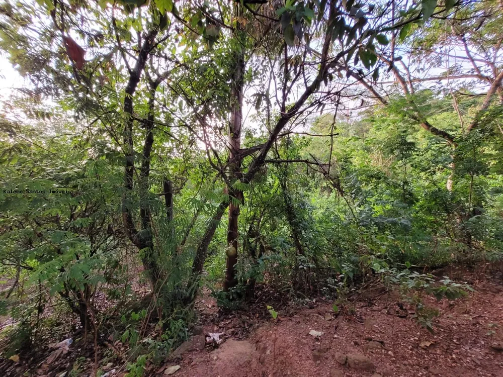 Chácara, 2000 m² - Foto 5