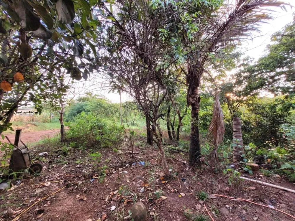 Chácara, 2000 m² - Foto 8