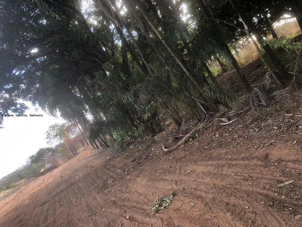 Terreno, 1 hectares - Foto 6