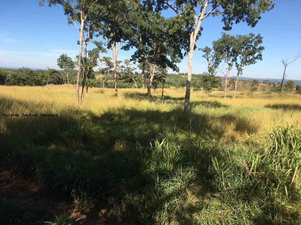 Fazenda - Foto 3
