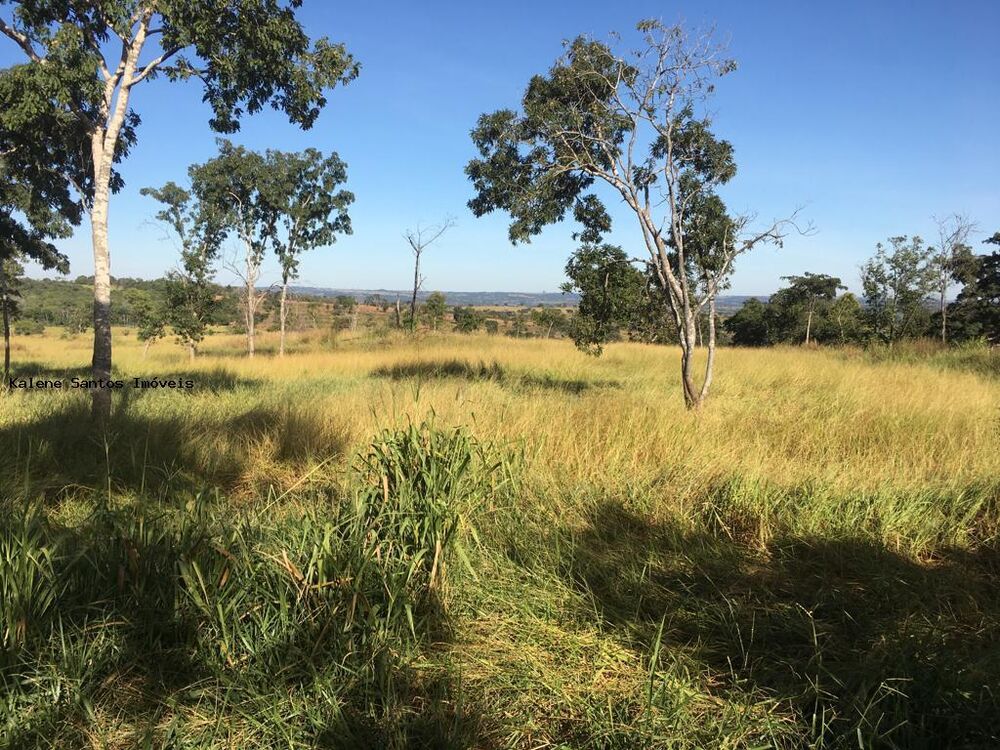Fazenda - Foto 2