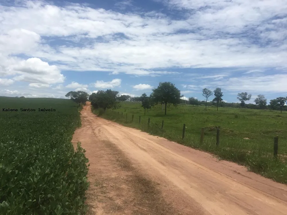Fazenda - Foto 7