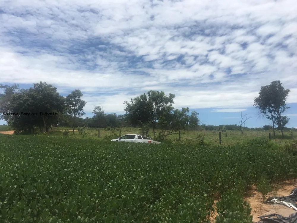 Fazenda - Foto 4