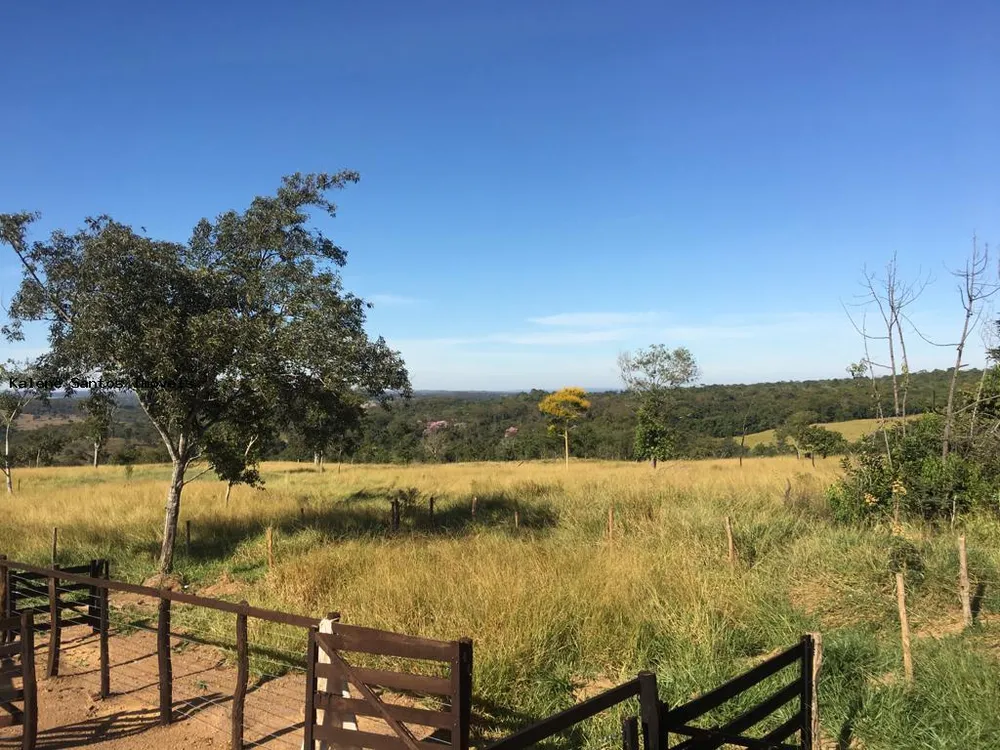 Fazenda - Foto 6