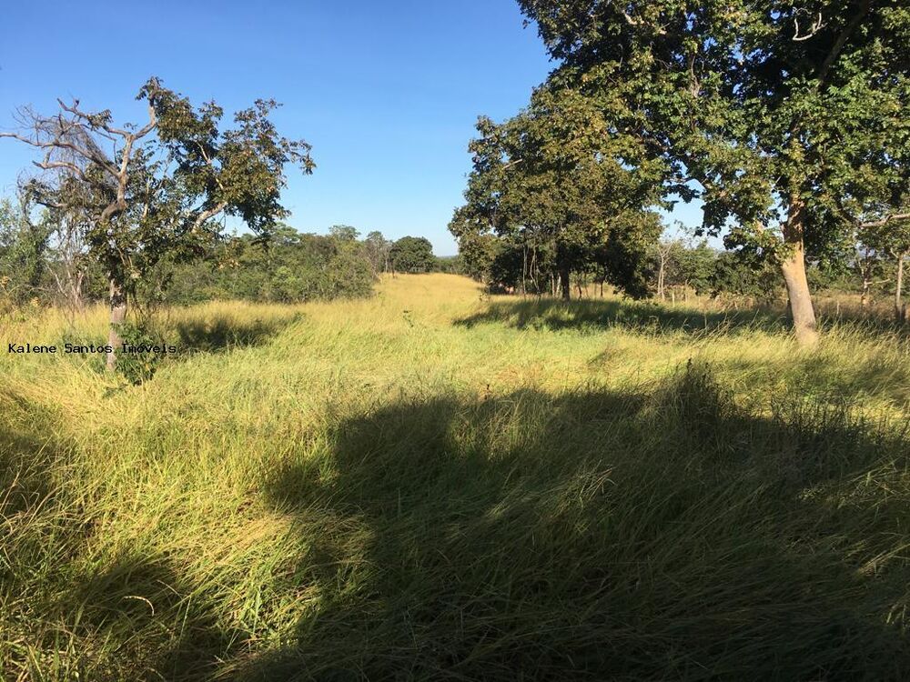 Fazenda - Foto 1