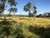 Fazenda-Sítio-Chácara - Foto 2