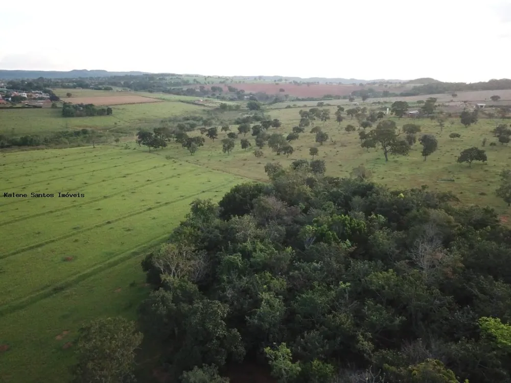 Terreno, 2 hectares - Foto 4