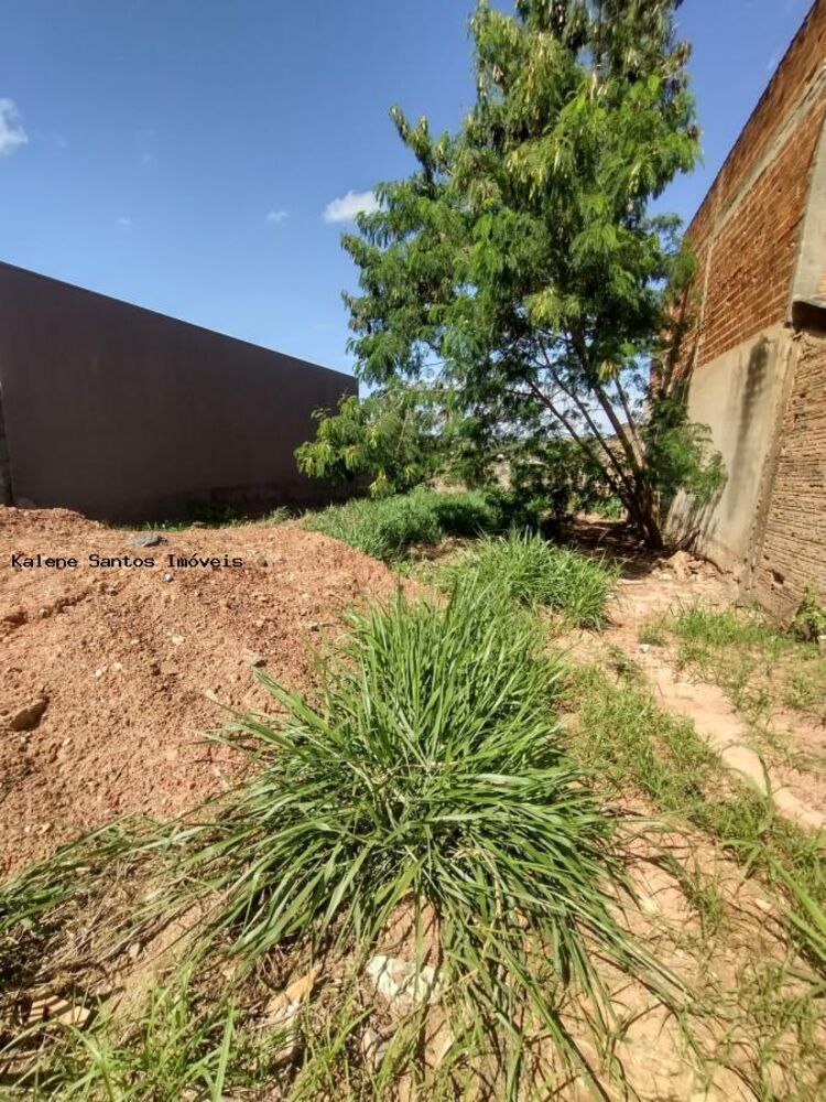 Terreno, 360 m² - Foto 4