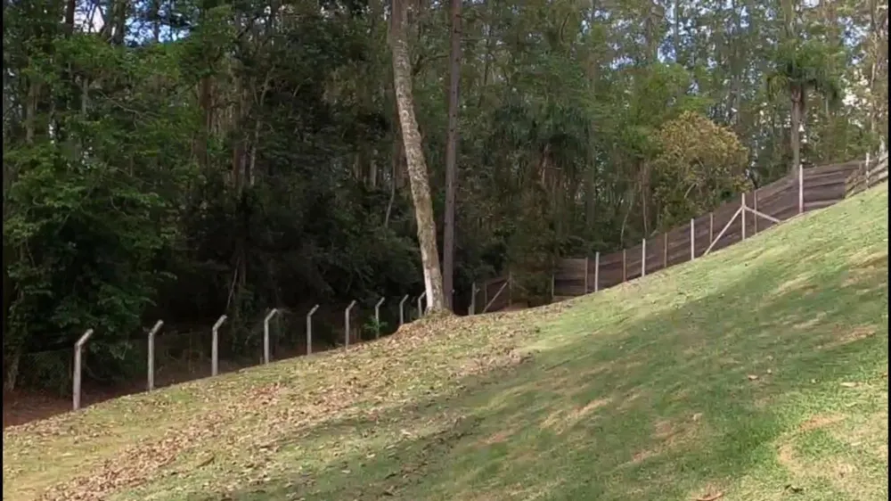 Terreno, 5000 m² - Foto 4