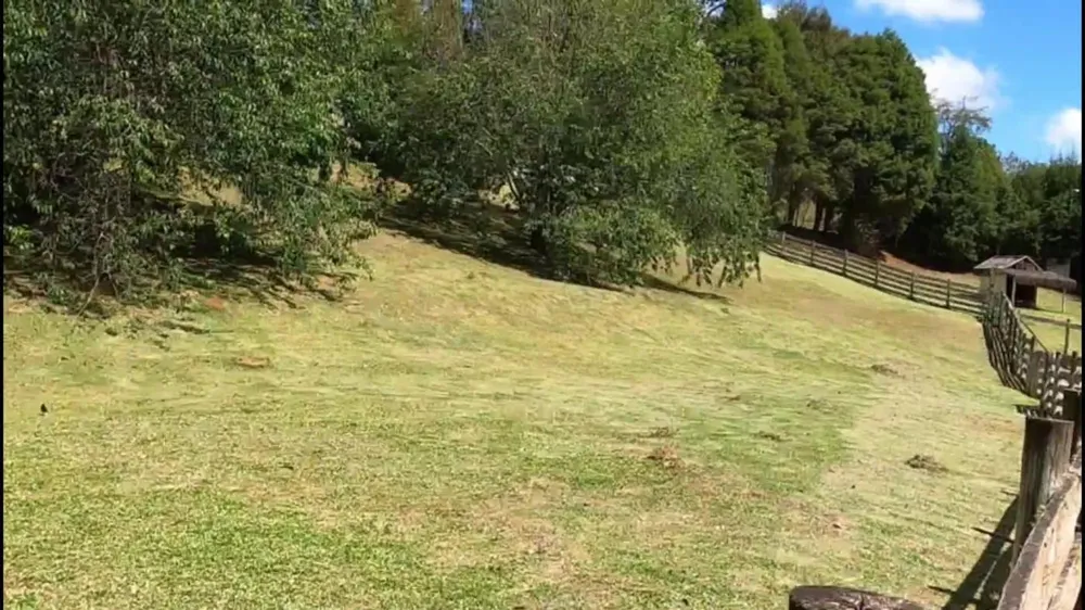 Terreno, 5000 m² - Foto 8