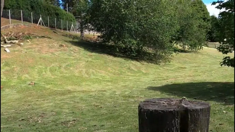 Terreno, 5000 m² - Foto 5