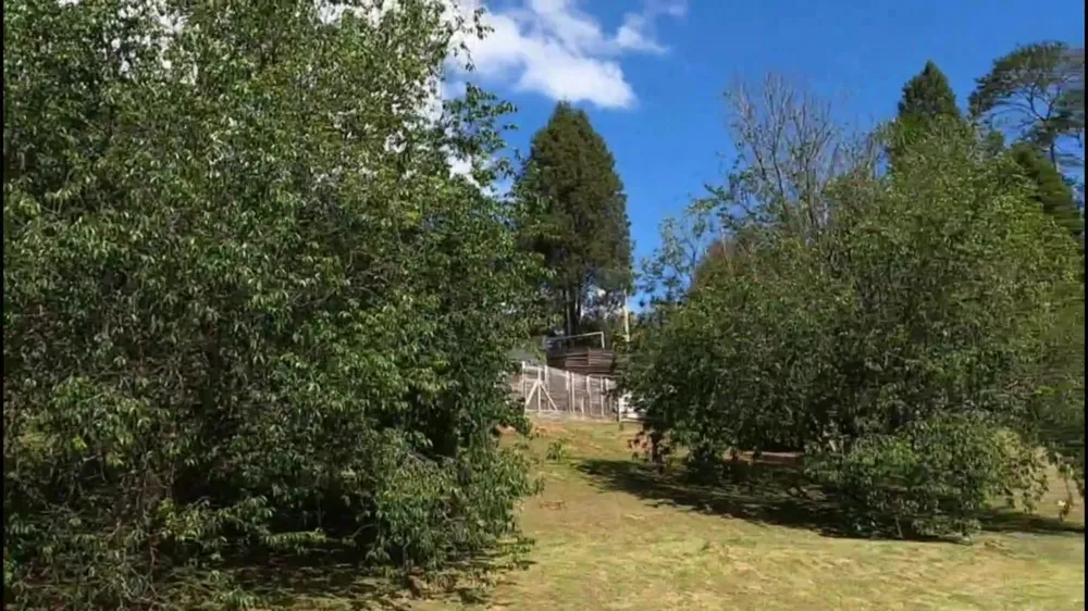 Terreno, 5000 m² - Foto 10