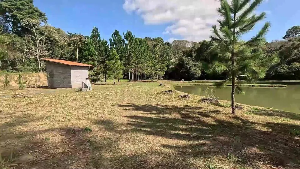 Sítio, 3 quartos, 2 hectares - Foto 2