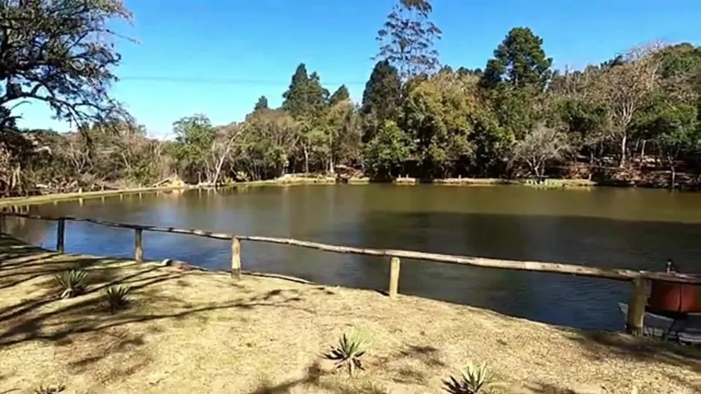 Chácara, 3 quartos, 5450 m² - Foto 6