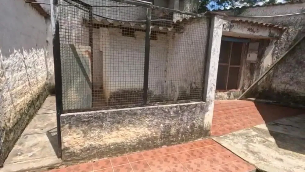 Chácara, 4 quartos, 6100 m² - Foto 5