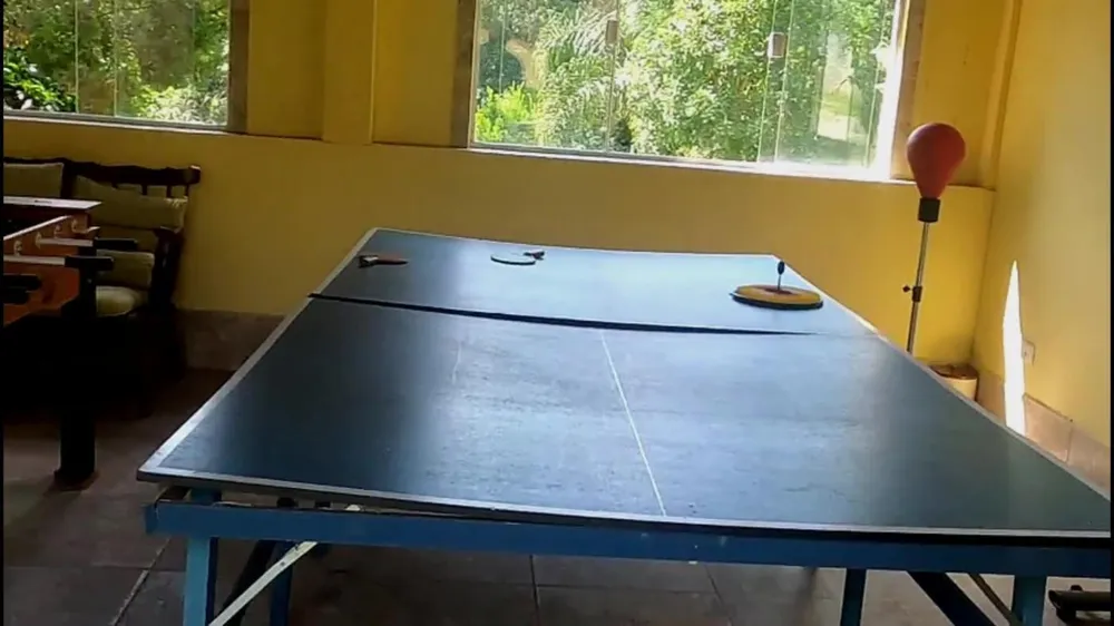 Chácara, 3 quartos, 4500 m² - Foto 13