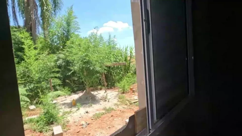 Chácara, 3 quartos, 1250 m² - Foto 7