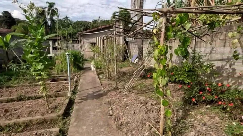 Chácara, 3 quartos, 1500 m² - Foto 4