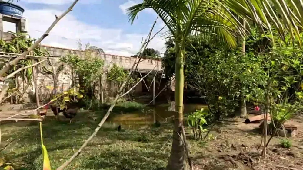 Chácara, 3 quartos, 1500 m² - Foto 7